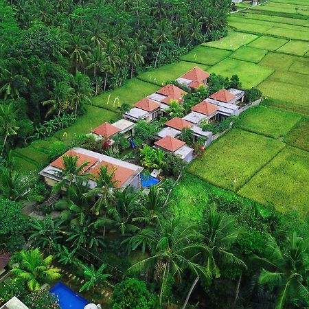 Asri Sari Ubud Villa & Resort Убуд Экстерьер фото
