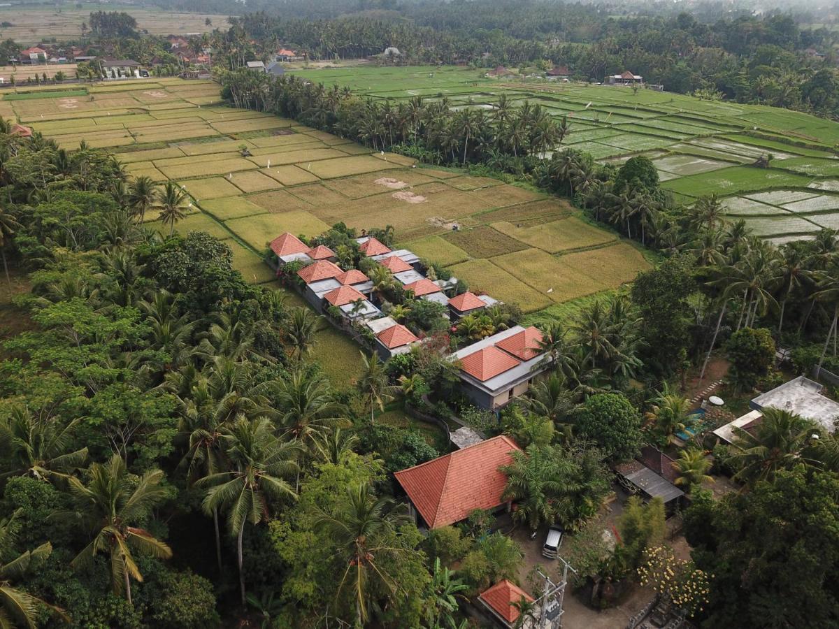 Asri Sari Ubud Villa & Resort Убуд Экстерьер фото
