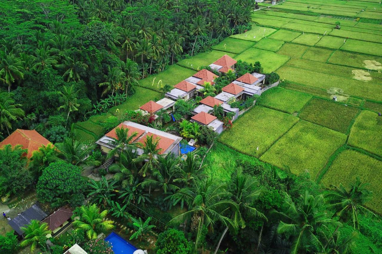 Asri Sari Ubud Villa & Resort Убуд Экстерьер фото